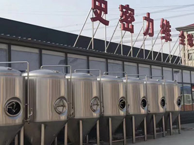 汪清精酿啤酒设备厂—如何判断精酿啤酒设备的密封件需要更换？